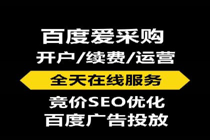 百度竞价排名案例解析：如何快速提升网站流量